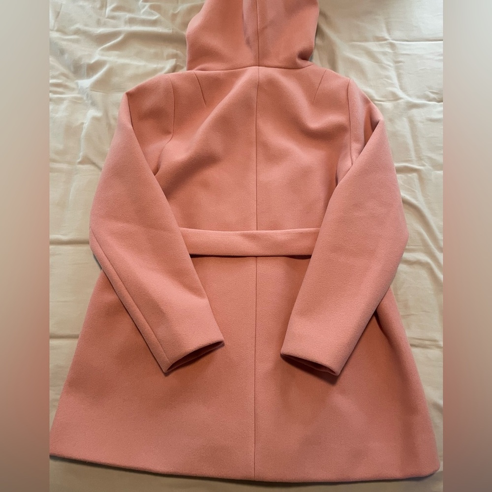 H&M Blush Pink Coat Detachable Imitation Fur on Hood Size M NWT - Picture 2 of 8